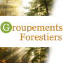 Groupement Forestiers : investir en Fort