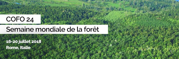 6ème Semaine mondiale des forêts, du 16 au 20 juillet 2018 (FAO)