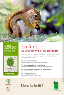 Campagne Merci la forêt ! (France Bois Forêt)