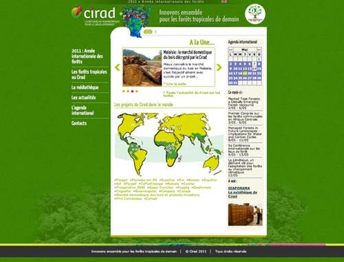 le Cirad crée un portail internet sur les forêts tropicales