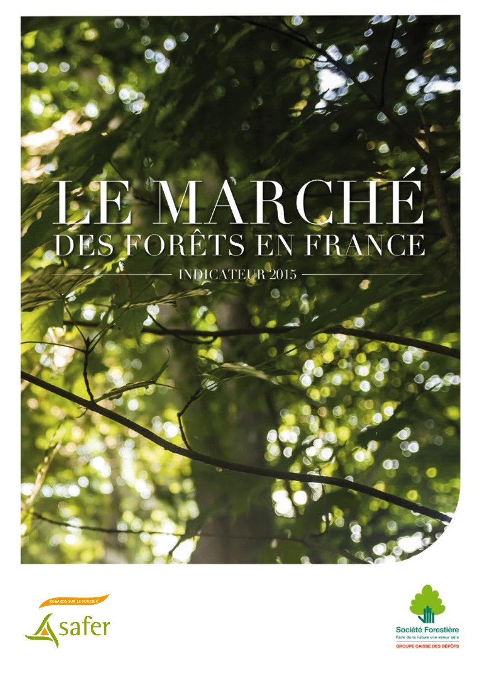 Le marché des forêts en France en 2014 (indicateur 2015) - Société Forestière de la Caisse des Dépôts et FNSafer