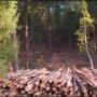 Les entrepreneurs de travaux forestiers renforcent leur communication par un nouveau film