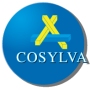 Le douglas : un choix conomique et cologique pour Cosylva